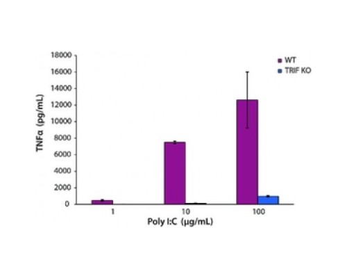 Натриевая соль полиинозиновой αβполицитидиловой кислоты TLR лиганд испытан Sigma P1530
