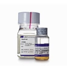 Набор StemPro Osteogenesis Differentiation Kit, для дифференцировки мезенхимальных стволовых клеток человека в остеоциты, Thermo FS