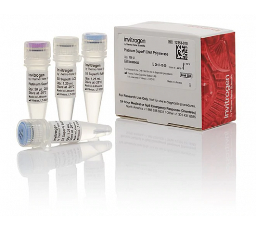 ДНК-полимераза Platinum SuperFi DNA Polymerase, Thermo FS